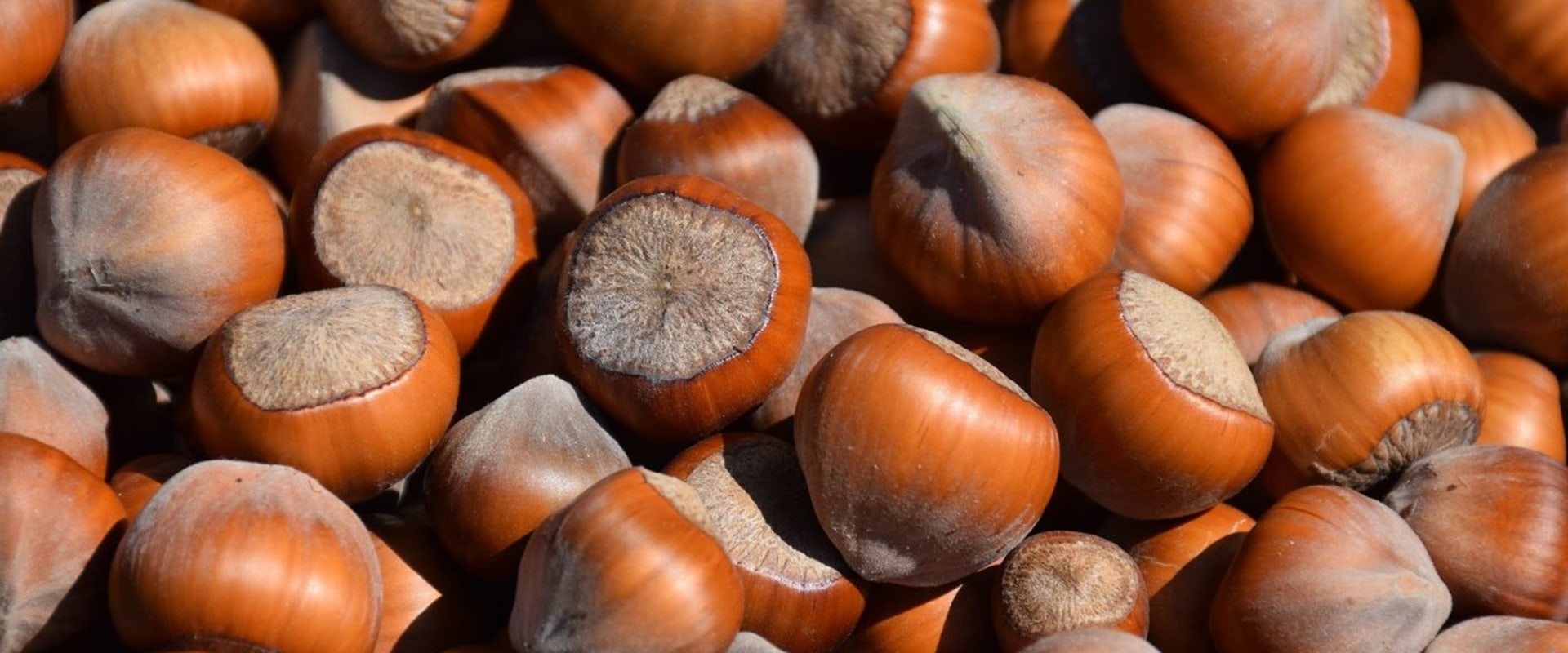 Why are hazelnuts expensive?