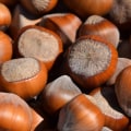 Are hazelnuts expensive?