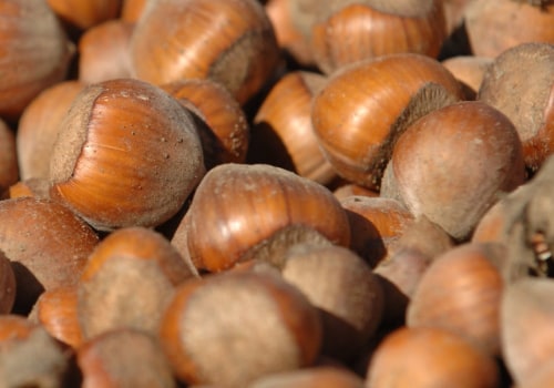 Should hazelnuts be refrigerated?