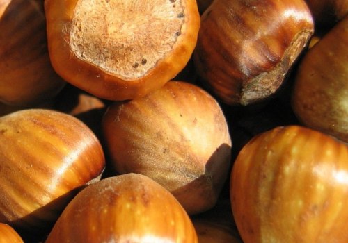 How much do hazelnuts sell for?